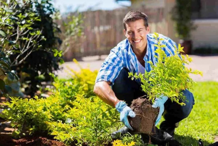 Faire entretenir son jardin et bénéficier d'un crédit d'impôt avec un prestataire faisant partie de la coopérative de services à la personne, Machecoul-Saint-Même, Créa Vert Passion